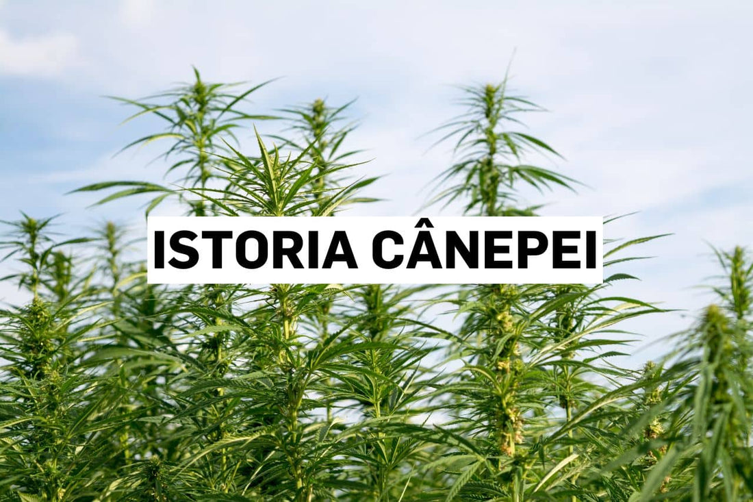 Istoria cânepei