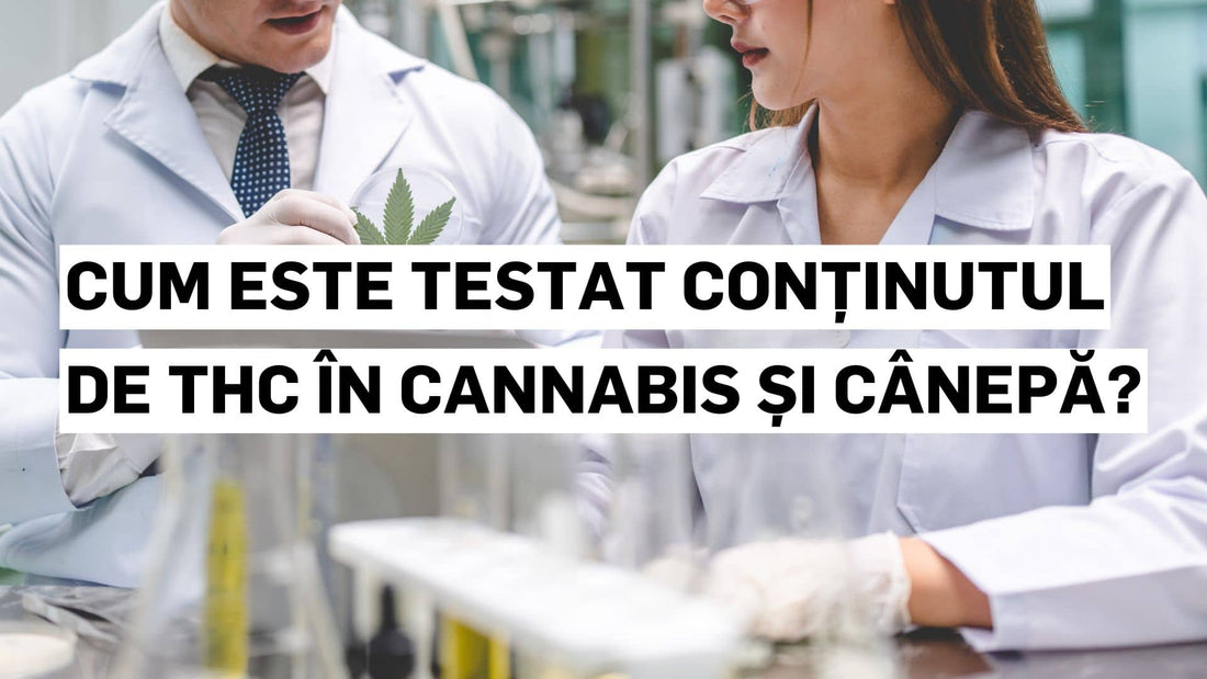 Cum este testat conținutul de THC în cannabis și cânepă?