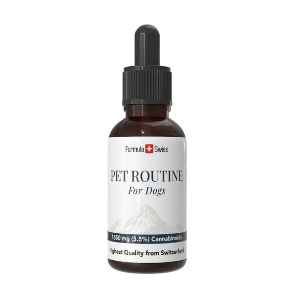 Flacon „Pet Routine pentru câini” cu etichetă albă pe fundal alb